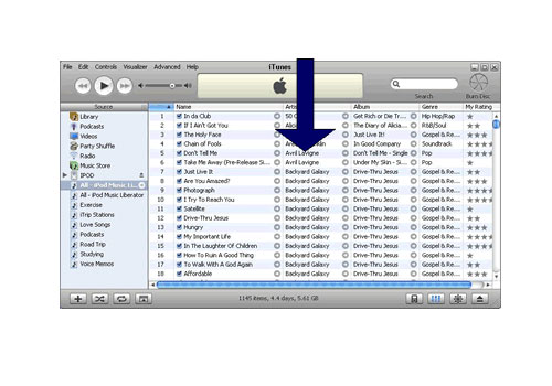 iPod Music Liberator