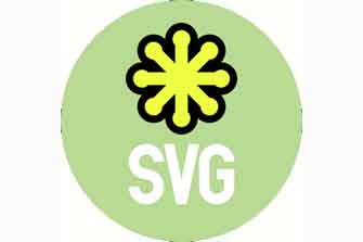 SVG Viewer