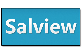 Salview