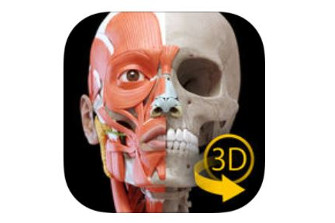 Muscoli | Scheletro - Atlante di Anatomia 3D