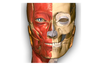 Anatomy Learning - 3D Atlas