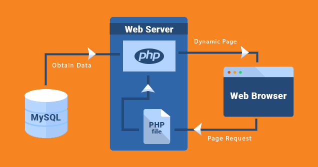 php mysql database