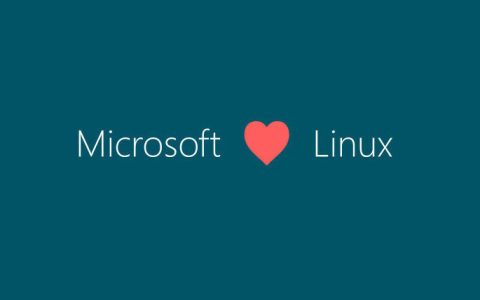 Linux XDP: Microsoft vuole portarlo su Windows