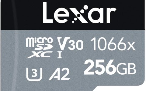 Lexar Professional 1066x da 256GB ad un prezzo FOLLE su Amazon