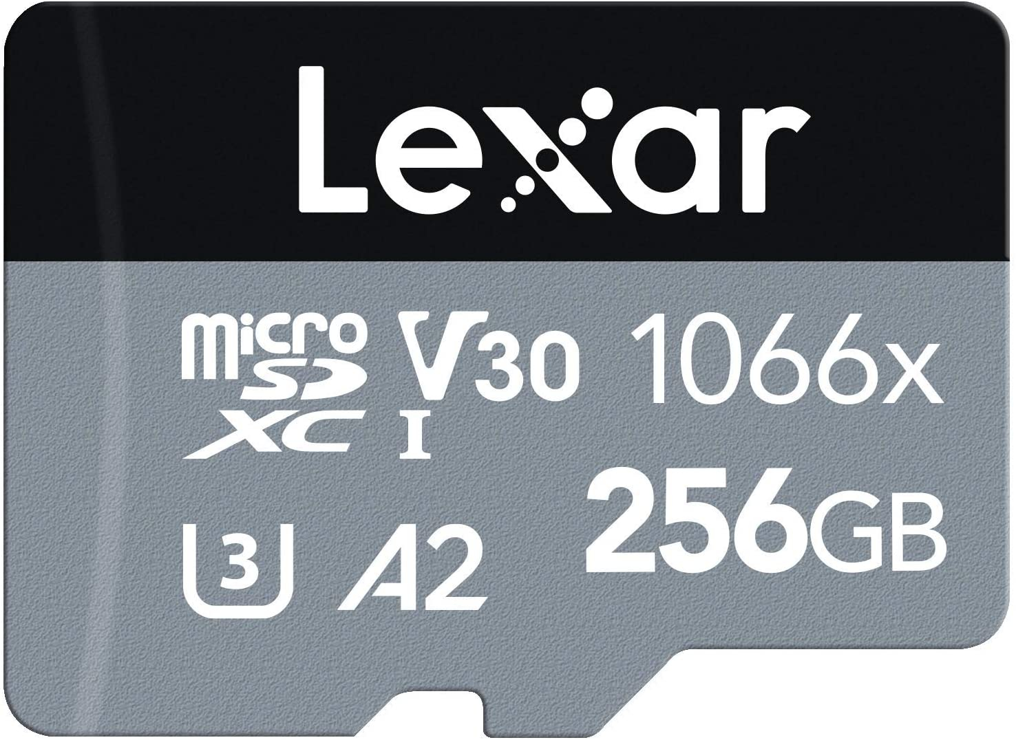 Lexar Professional 1066x da 256GB ad un prezzo FOLLE su Amazon
