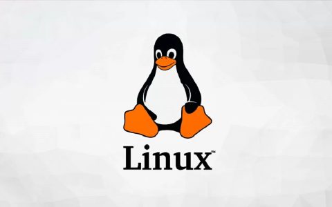 Linux 5.18-rc7: la versione stabile è stata anticipata alla settimana prossima