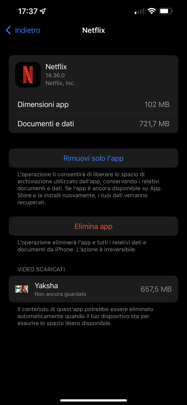 Gestione App Netflix iOS