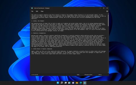 Windows 11: il nuovo Blocco note è lento