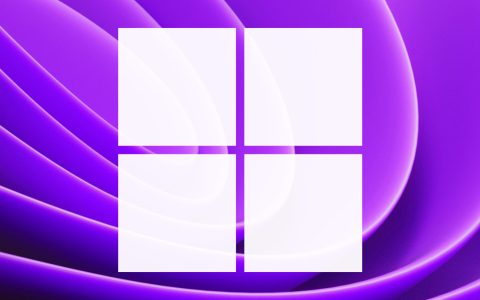 Tiny11: Windows 11 per PC meno performanti