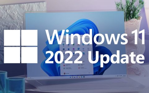 Windows 11 2022 Update: come correggere l'errore 0x800F0806