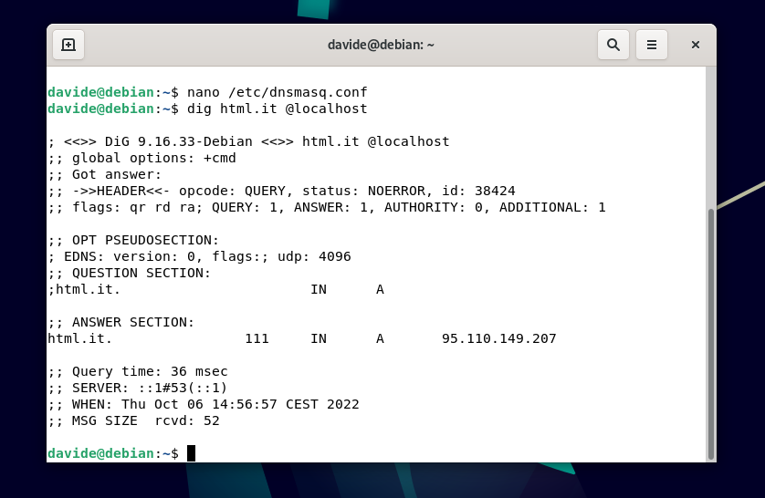 dig ping dns server