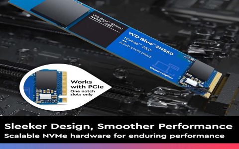 SSD WD Blue SN550 da 500GB in offerta speciale su Amazon