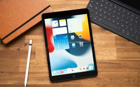 Apple iPad 9 2021 (64GB), PREZZO folle su eBay: SVENDITA incredibile