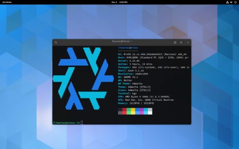NixOS 22.11 “Raccoon”: arrivato GNOME 43, KDE Plasma 5.26 ed OpenSSL 3