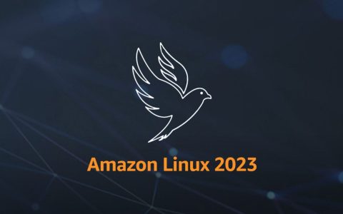 Amazon Linux 2023: migliorate le feature di sicurezza