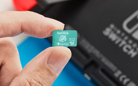 MicroSD UFFICIALE per Nintendo Switch in offerta a 22€ su Amazon