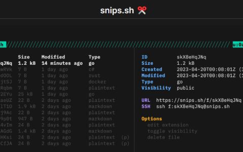 Snips: un pastebin con SSH