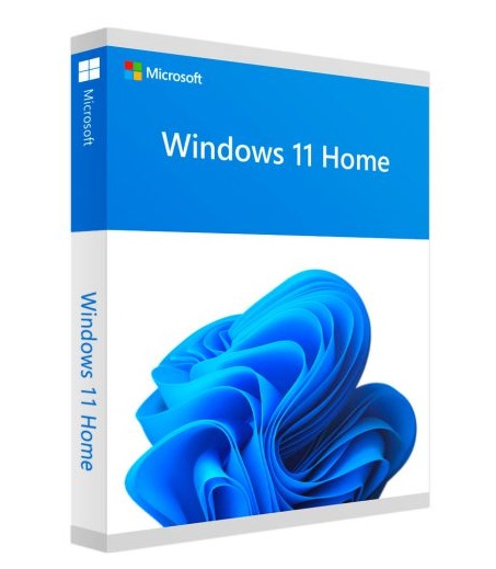 Windows 11 con LicenSEL