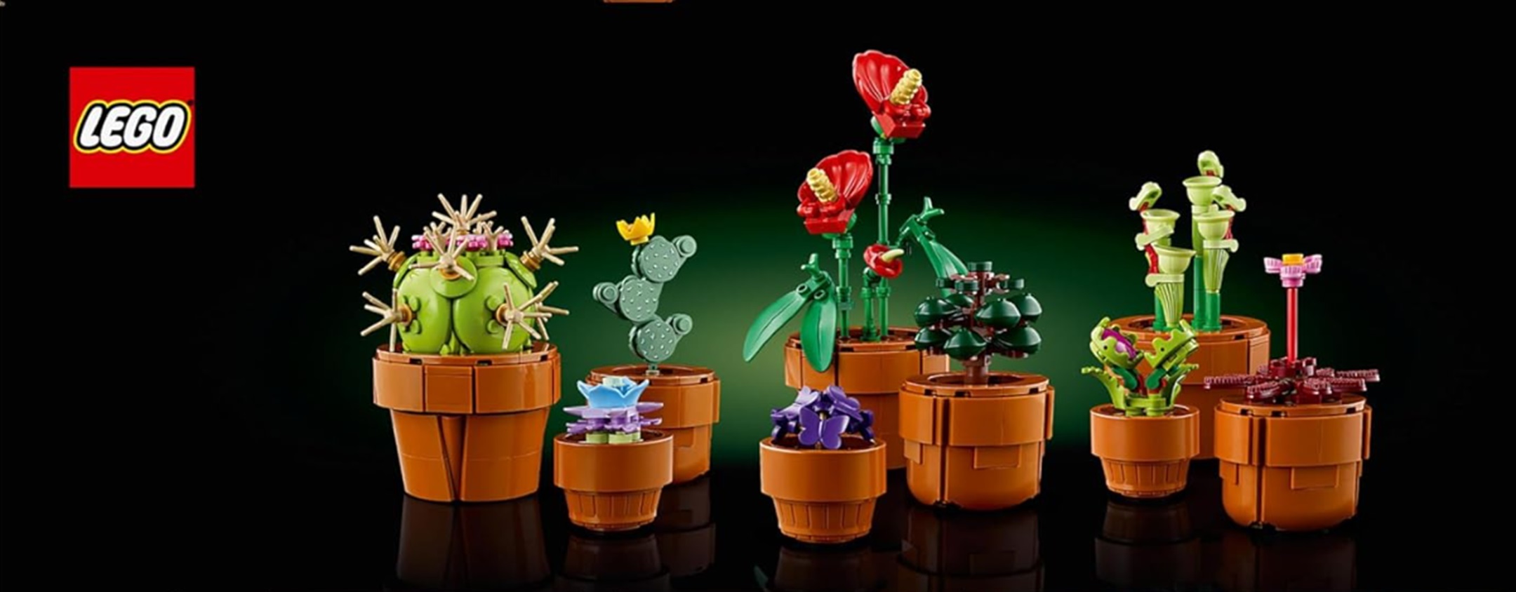 LEGO 10329 Icons Piantine, Set Collezione Botanica con Fiori Artificiali in  Vaso Color Terracotta da Costruire, Accessorio Decorazione per Casa, Idea  Regalo di Compleanno per Lei, Lui, Donna o Uomo – Giochi